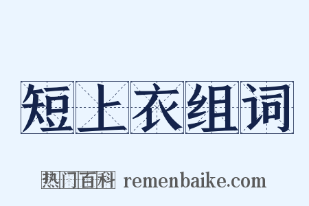 短上衣组词是什么意思的图片